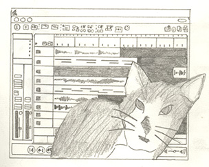 a cat in front of a sequencer