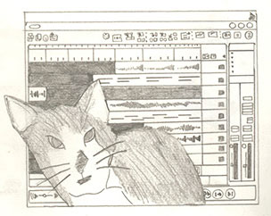 a cat